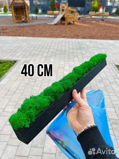 Кашпо со мхом