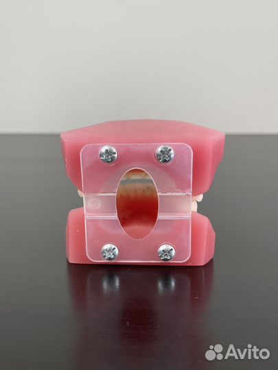 Макет зубов