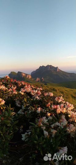 Гид Проводник Инструктор