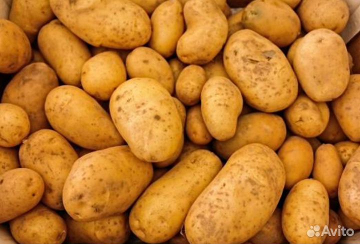 Картофель на еду