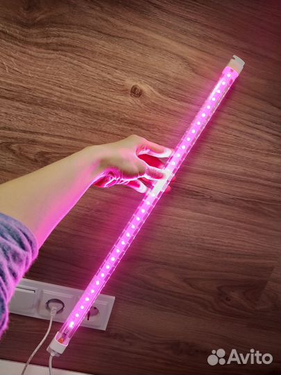 Фитолампа для растений