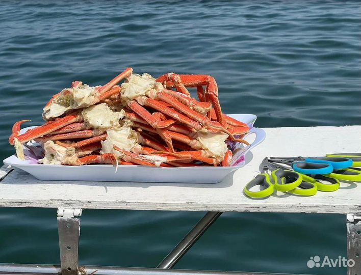 Камчатка летом турпутевка экскурсии от 5 до 9 дней