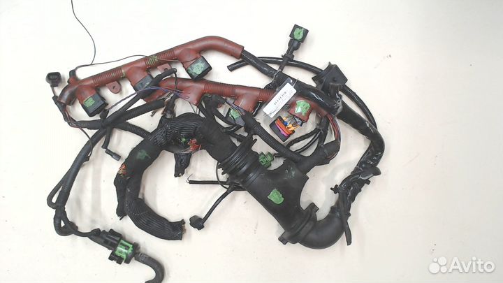 Жгут управления двигателем Audi A6 (C6), 2005