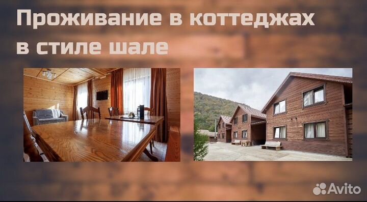 Путешествие в Сочи