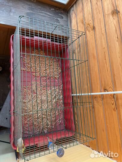 Клетка для декоративного кролика