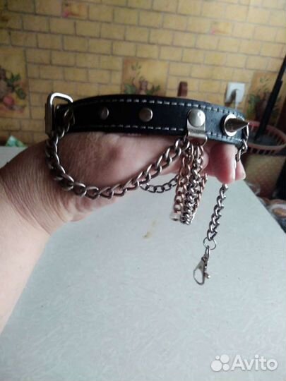 Ошейник для собак