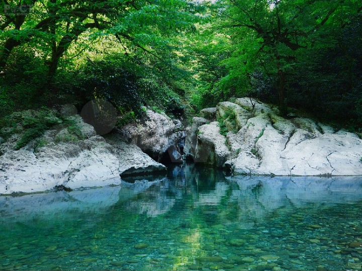 Участок 5 сот. (СНТ, ДНП)