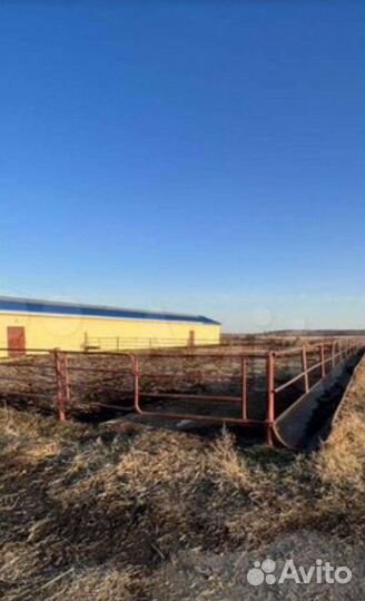 Телятик металлический разборный бу