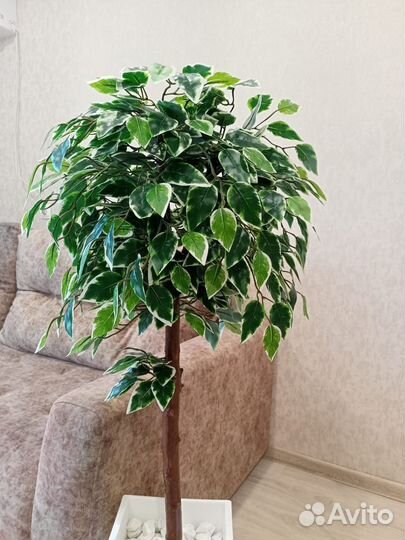 Искусственное дерево/фикус