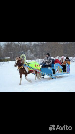 Сани для лошади