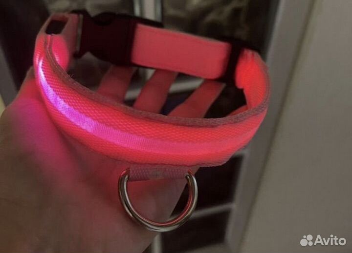 Светящиеся ошейник для собак