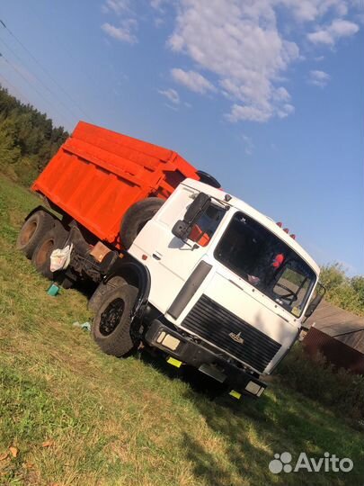 Жом свекловичный