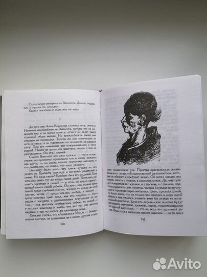 Ирвинг Стоун. Ван Гог. Жажда жизни (книга)