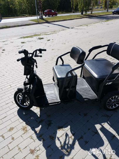 Трицикл Rutrike Экипаж