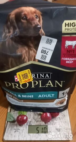 Сухой корм для собак pro plan