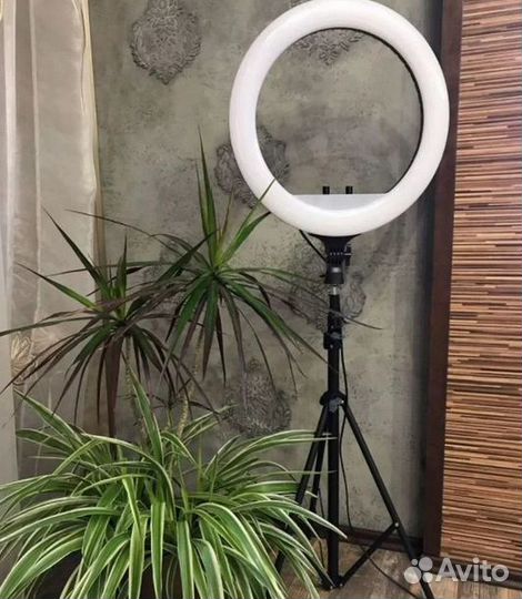 Светодиодная Лампа LED