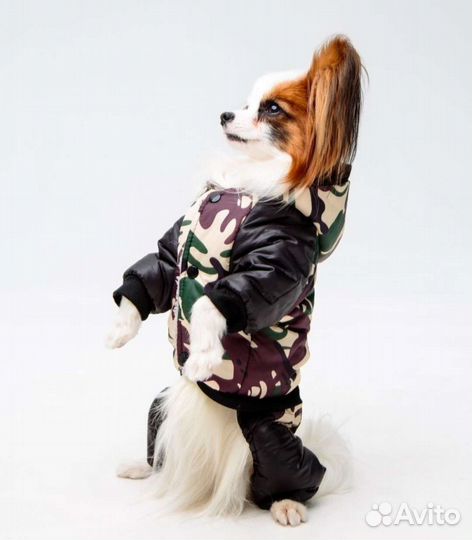 Комбинезон для собаки