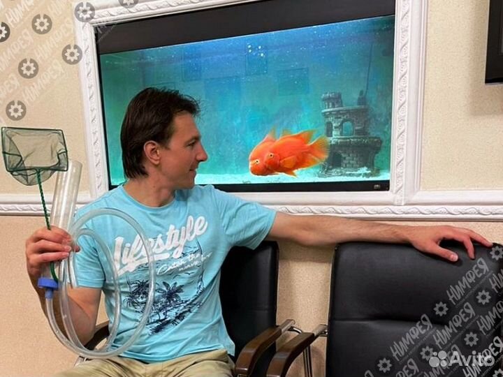 Профессиональное обслуживание аквариумов