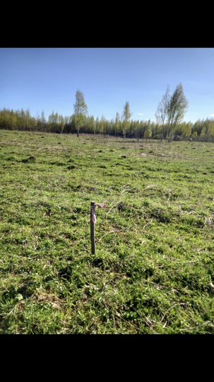 Участок 15 сот. (ИЖС)