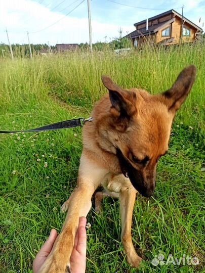 Джесси очень ждёт помощи и своего человека