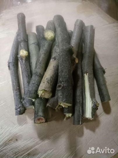 Палочки для грызунов