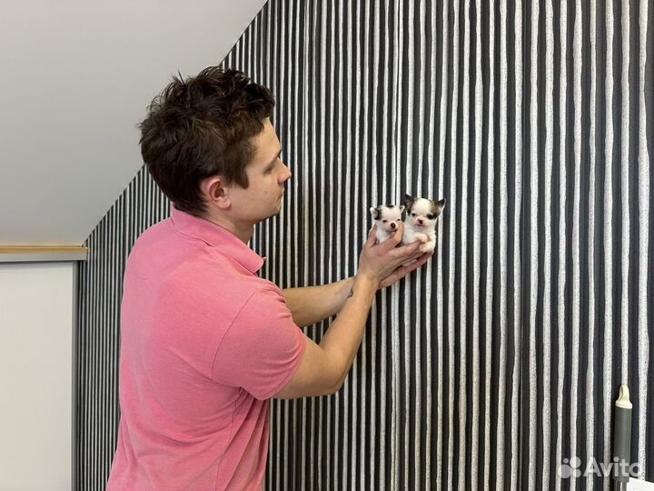 Супер Микро мальчик