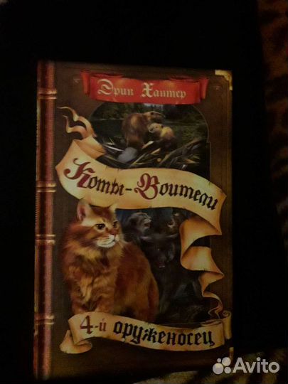 Коты-воители 