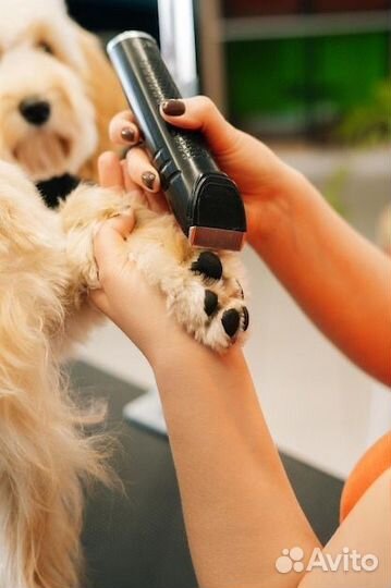 Модель на груминг