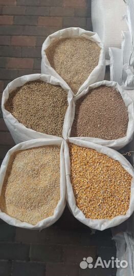 Зерно в мешках. пшеница,ячмень, кукуруза,комбикорм