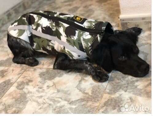 Одежда для больших собак