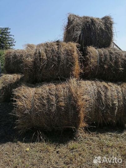 Сено в рулонах
