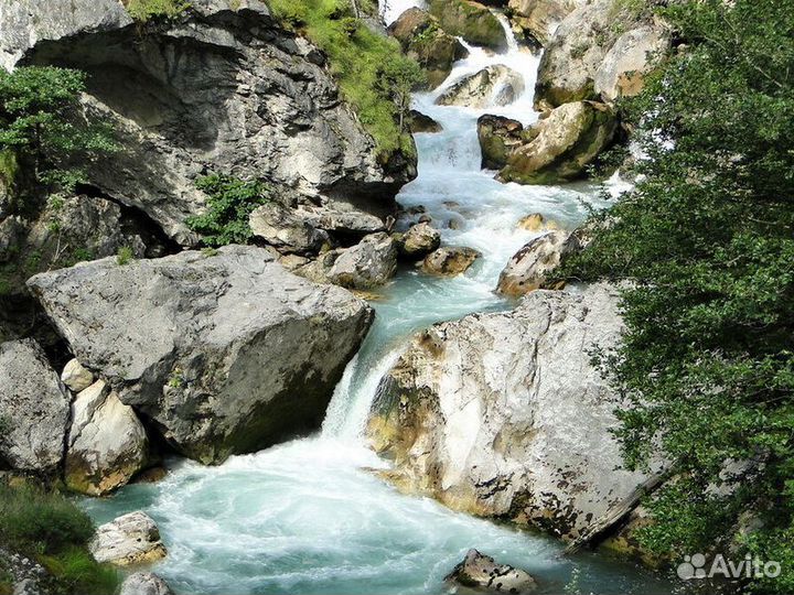 Экскурсия — Сухум — Джип-Тур К Озеру Рица И Гегско