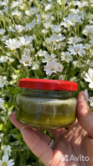 Мазь чистотела