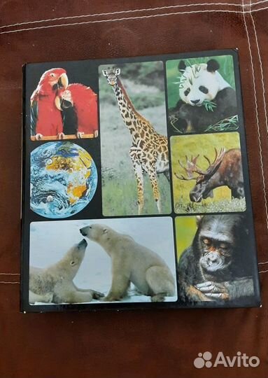 Книги о животных