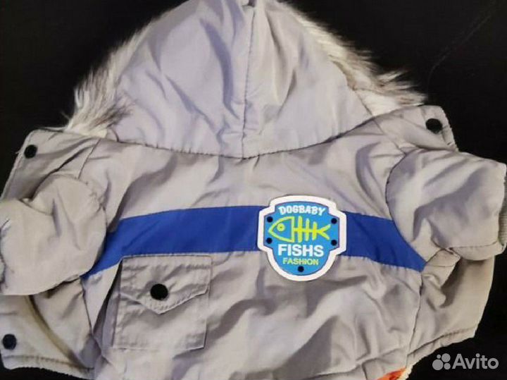 Одежда для маленьких собак, кошек