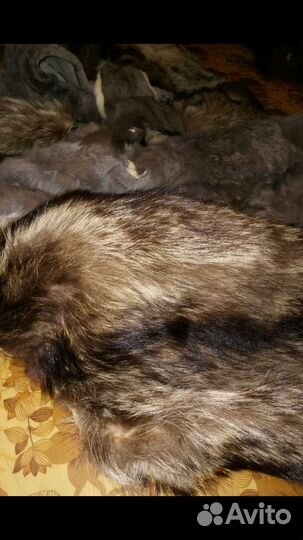 Лоскут меховой