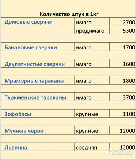 Сверчки тараканы