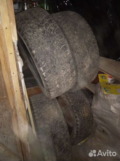 Gislaved Soft Frost 2 205/55 R16