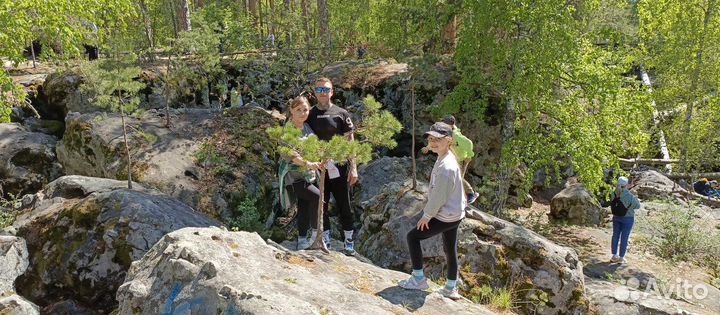 Рачейский бор и Каменный лабиринт