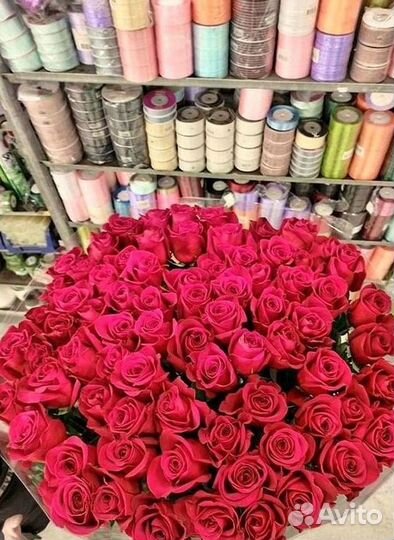 Высокие розы Гигантские розы с доставкой