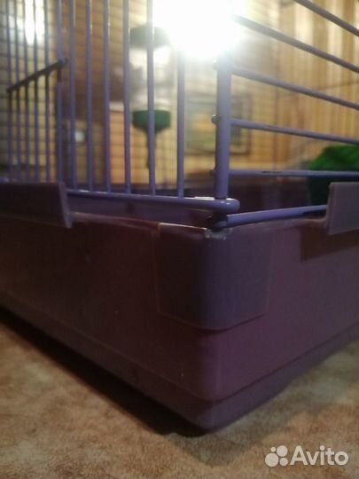 Клетка для грызунов большая