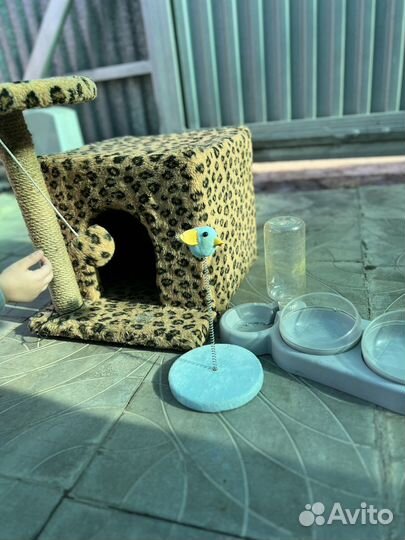 Домик для кошки с когтеточкой бу