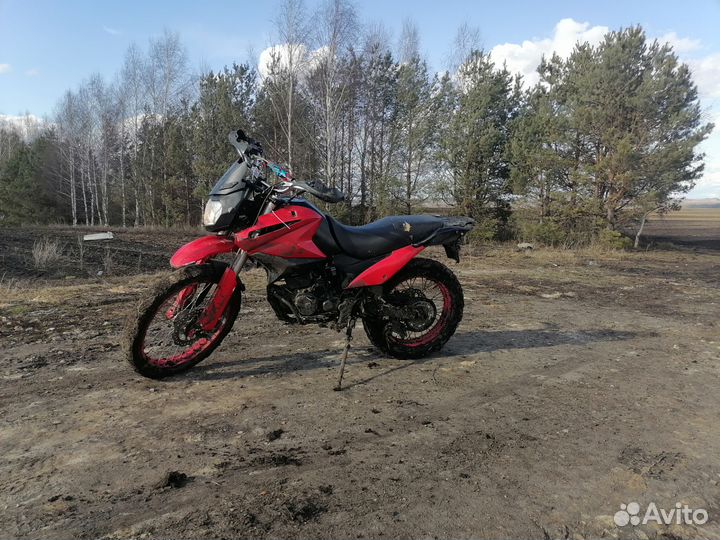 Irbis xr 250r