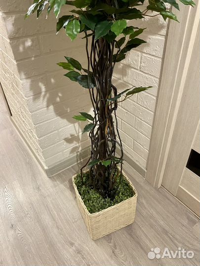 Искусственное дерево дом кафе ресторан офис