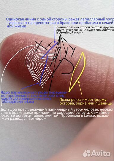 Хиромант, гадание по фото рук, онлайн, вижу всё