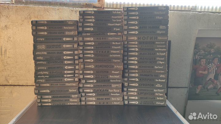 Жзл. Жизнь замечательных людей. 96 книг