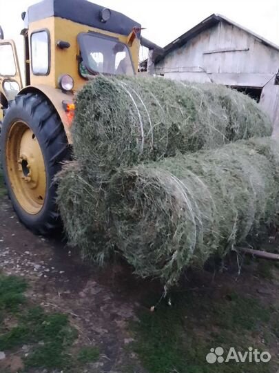 Сено в рулонах 2023