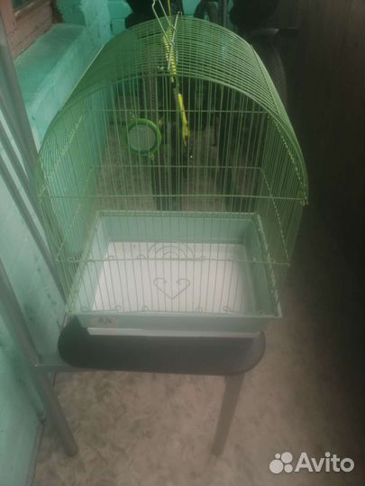 Клетки для птиц