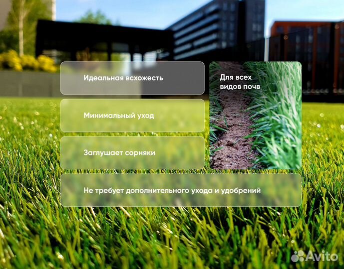 Семена газонная трава 20 кг Спортивная