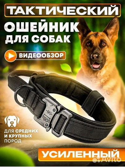 Ошейник для собак